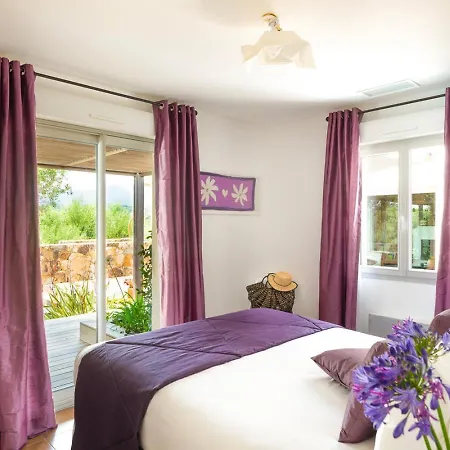 Ecrin De Pinarello * Pinarellu