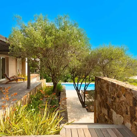 Ecrin De Pinarello * Pinarellu