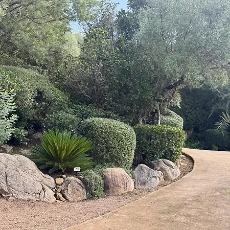 Ecrin De Pinarello Pinarellu