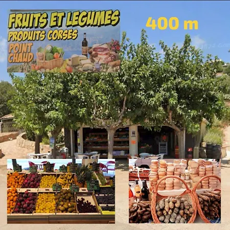 Ecrin De Pinarello Pinarellu