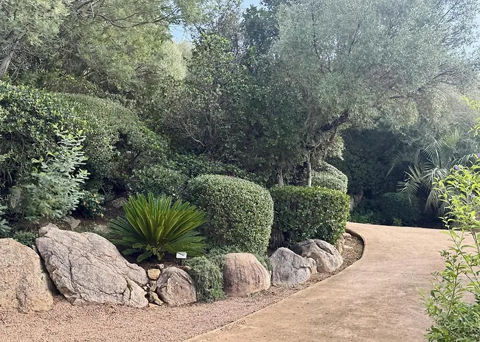 Ecrin De Pinarello Pinarellu (Corsica)